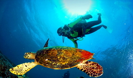 K�ba Diving
